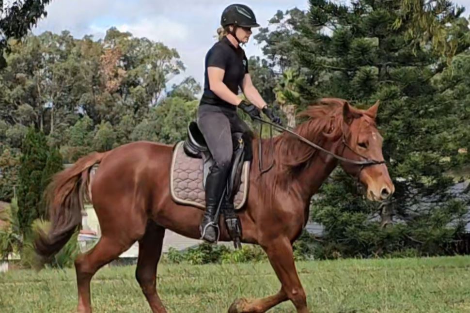 Horsemanship and Trail Ride