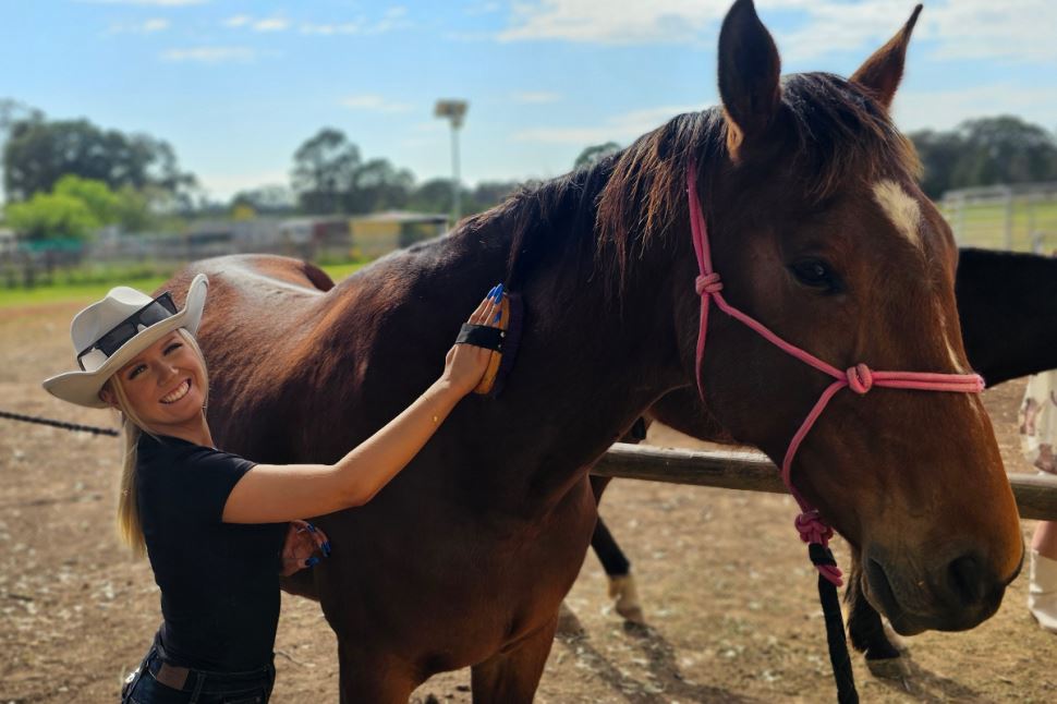 Horsemanship and Trail Ride