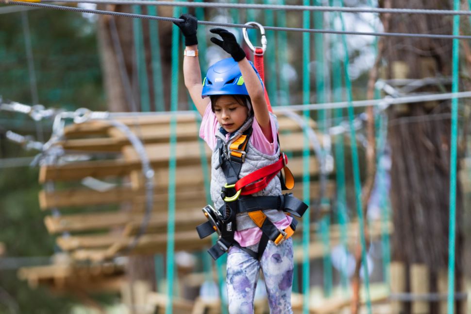 Tree Ropes Course