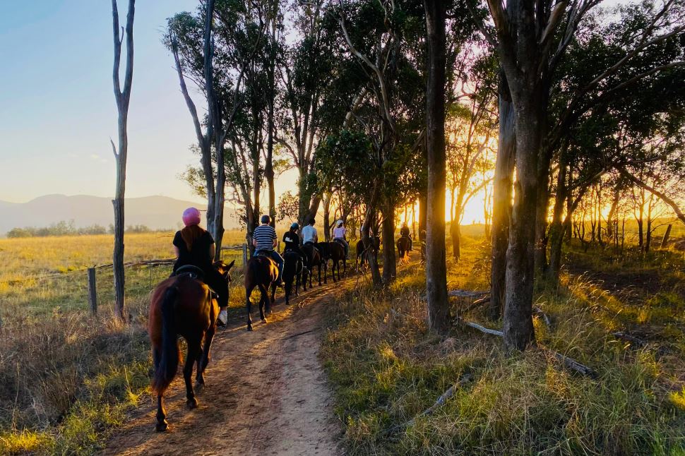 Sunset 75-minute Horse Ride
