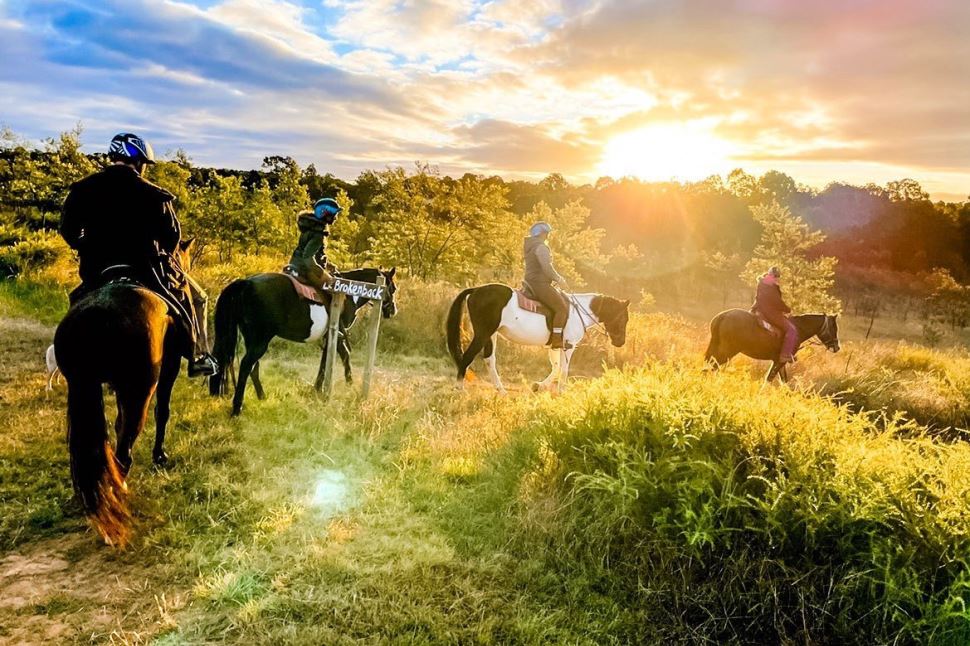Sunset 75-minute Horse Ride