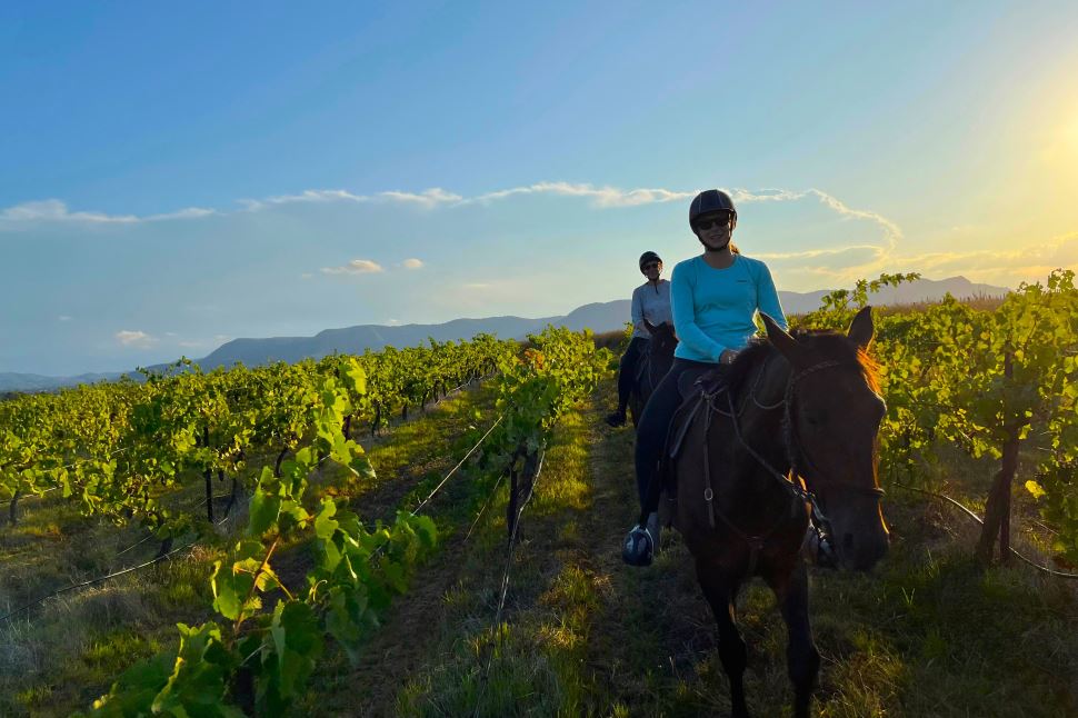 Sunset 75-minute Horse Ride