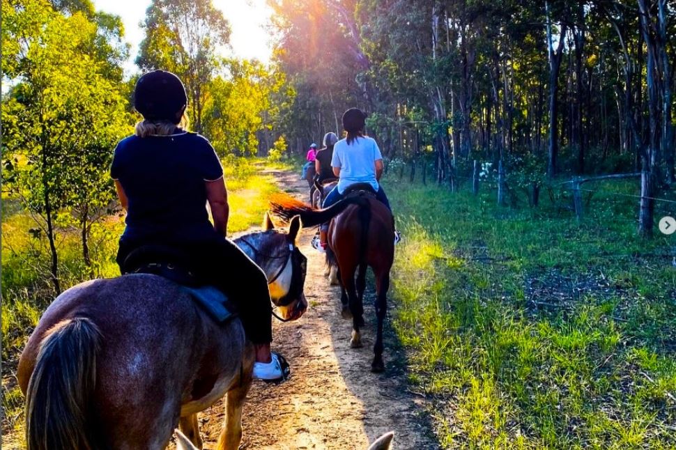 Sunset 75-minute Horse Ride