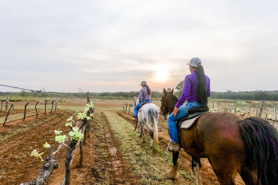 Morning Horse Riding Excursion
