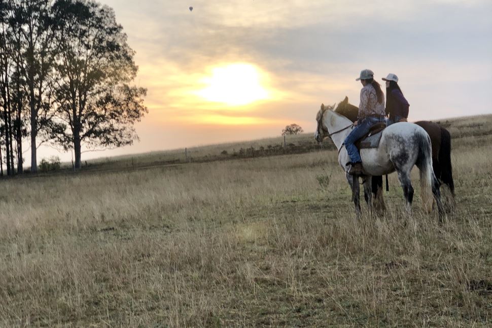 Morning Horse Riding Excursion