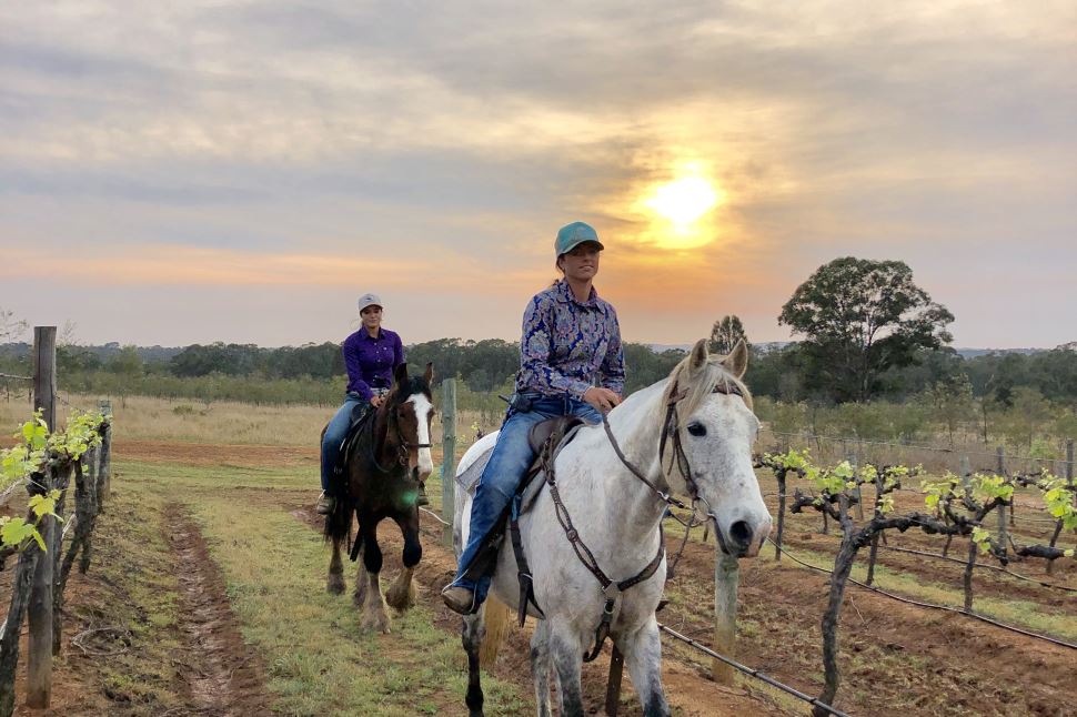 Morning Horse Riding Excursion