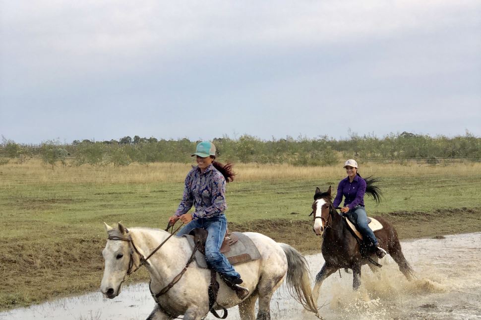 Morning Horse Riding Excursion