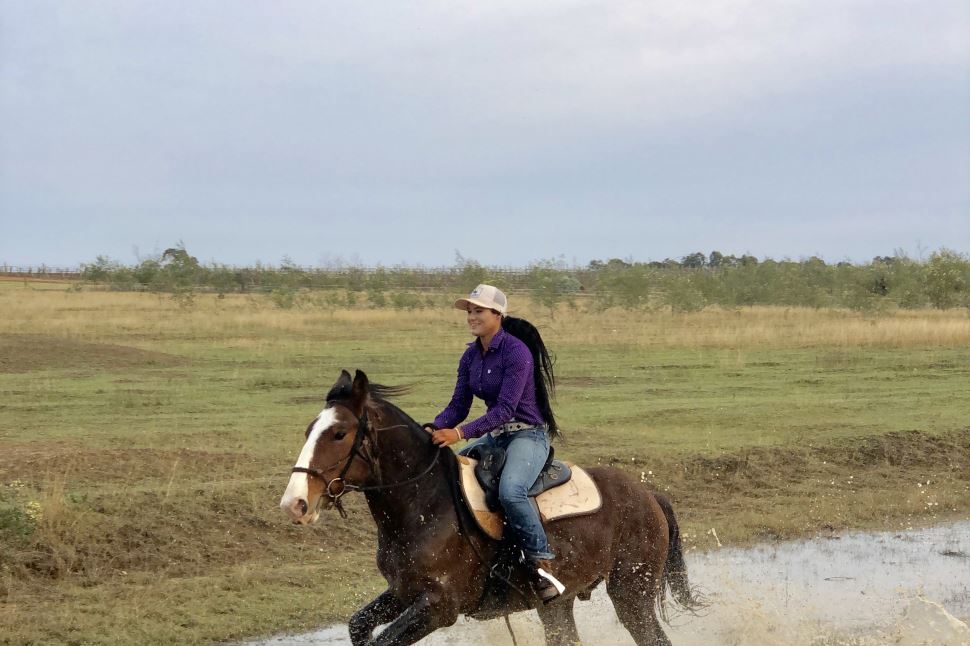 Morning Horse Riding Excursion