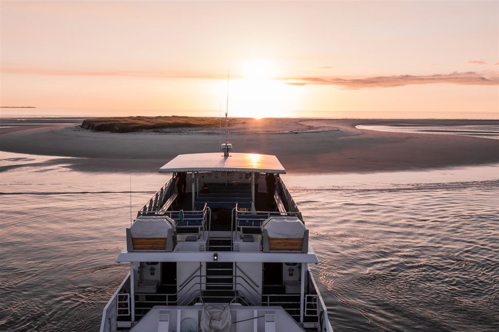 Twilight Bay Cruise - Bubbles and Views