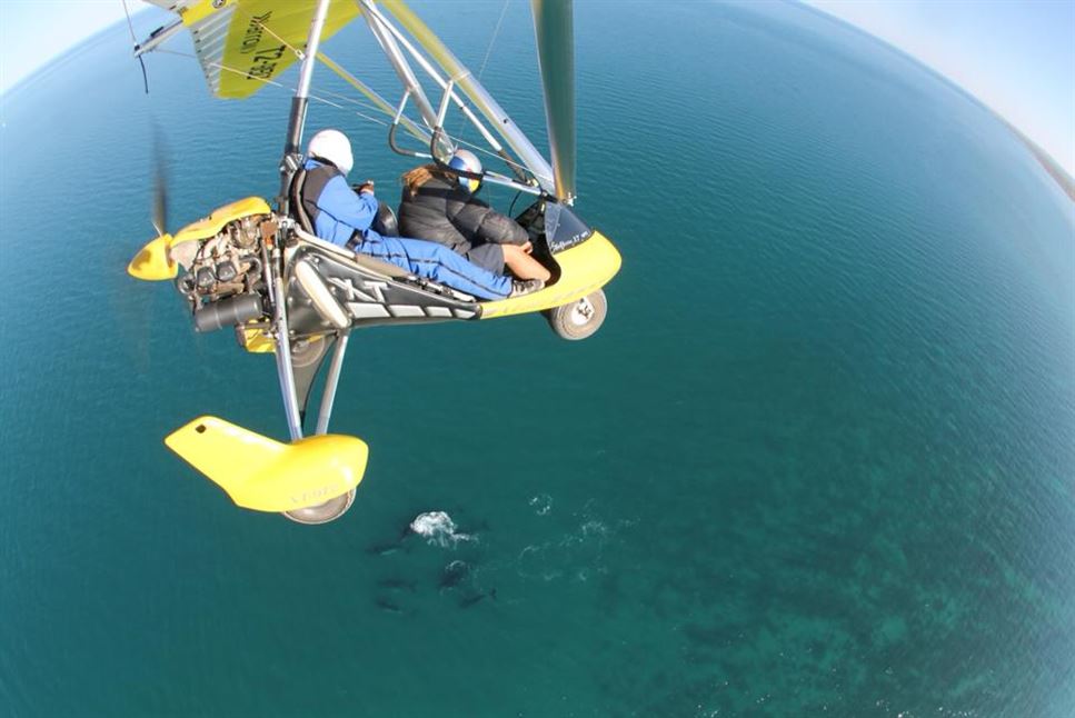 Exmouth Gulf Scenic Microlight Flight