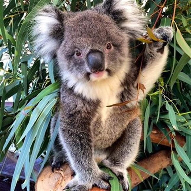 Discover Perth Tour