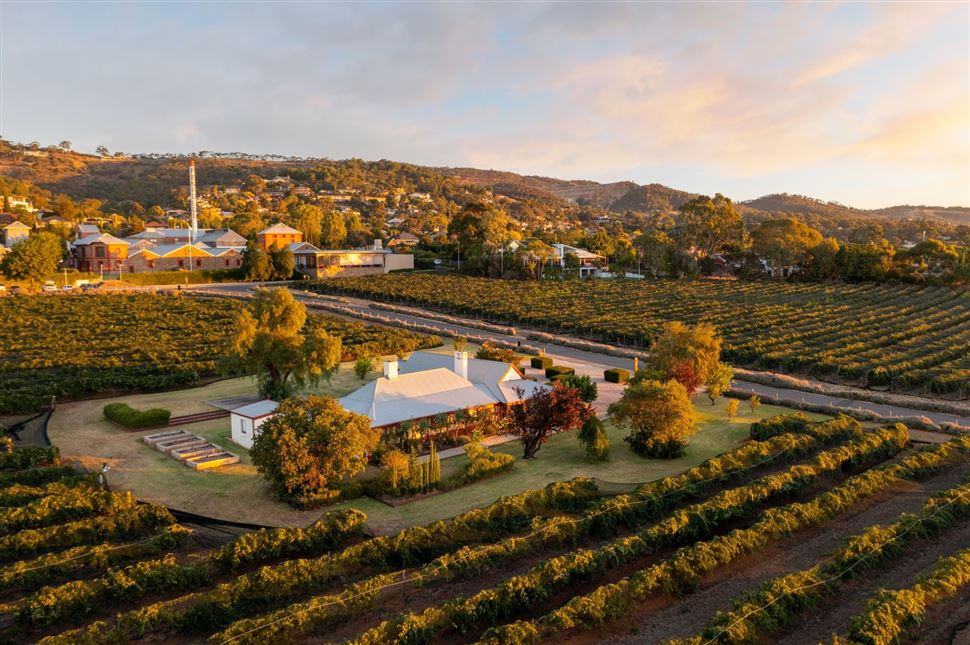 Penfolds Platinum Grange Experience
