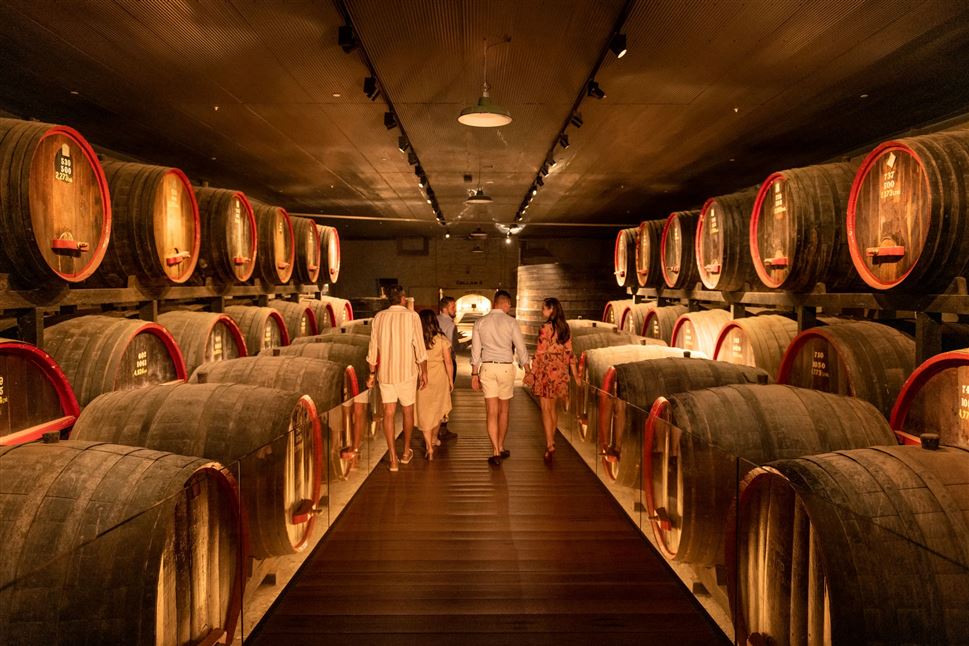 Penfolds Platinum Grange Experience