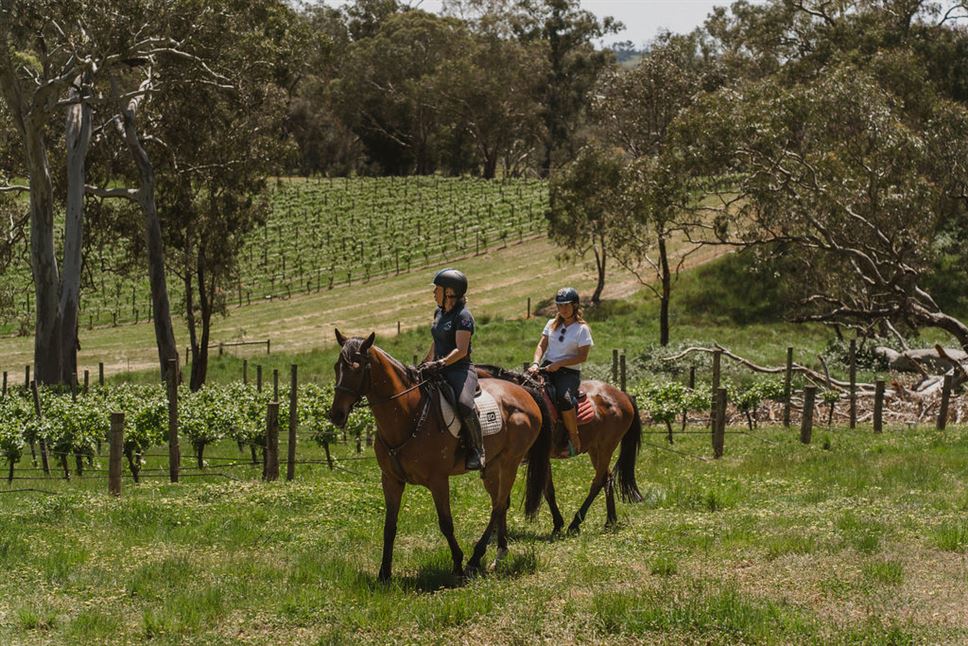 Romantic Horseback Winery Ride Package