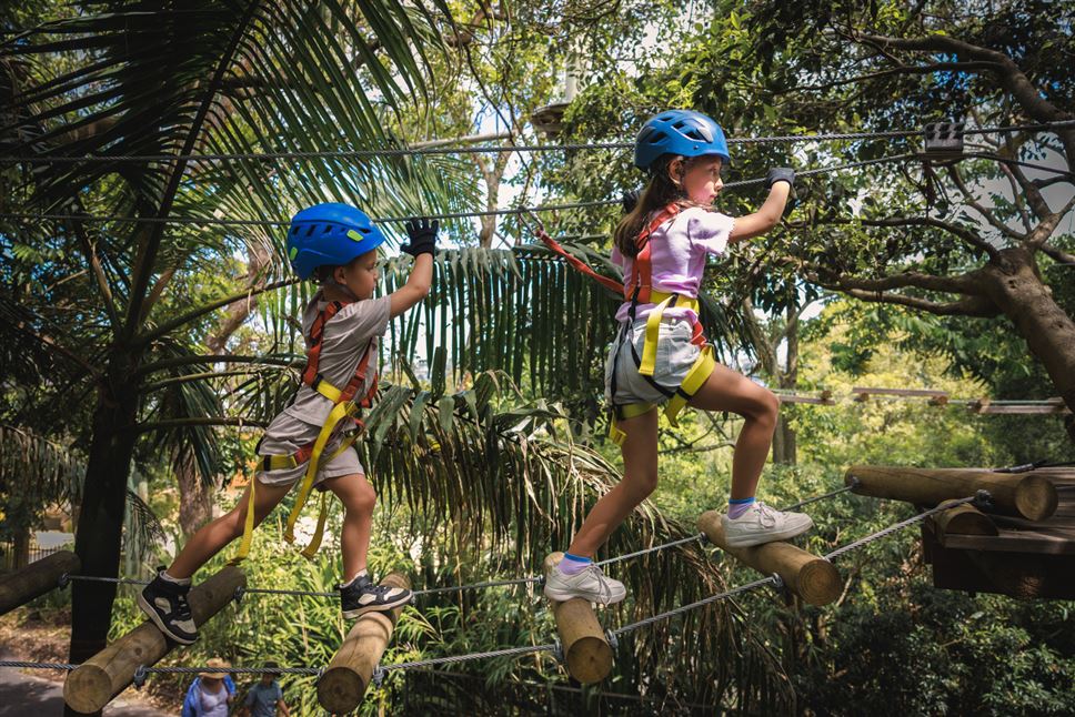 Ropes Adventure for Juniors