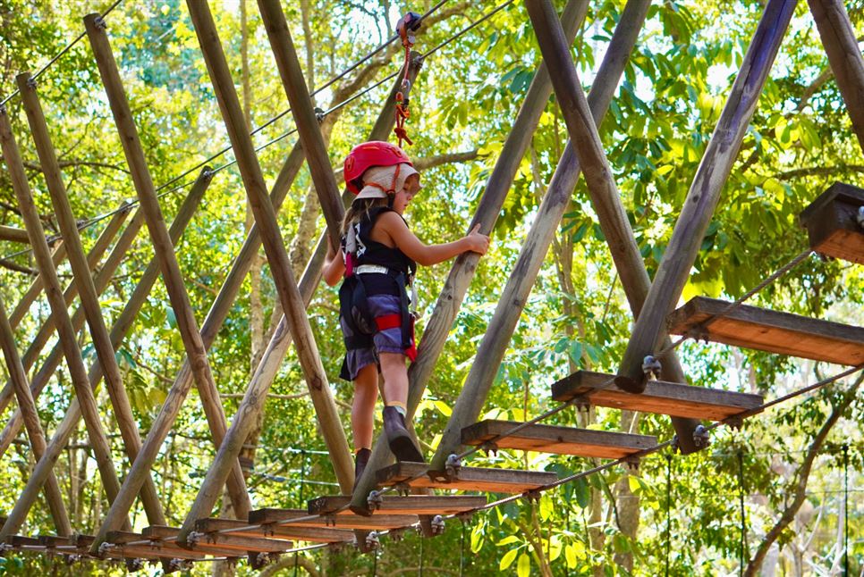 Junior Zipline Fun for Mini Adventurers