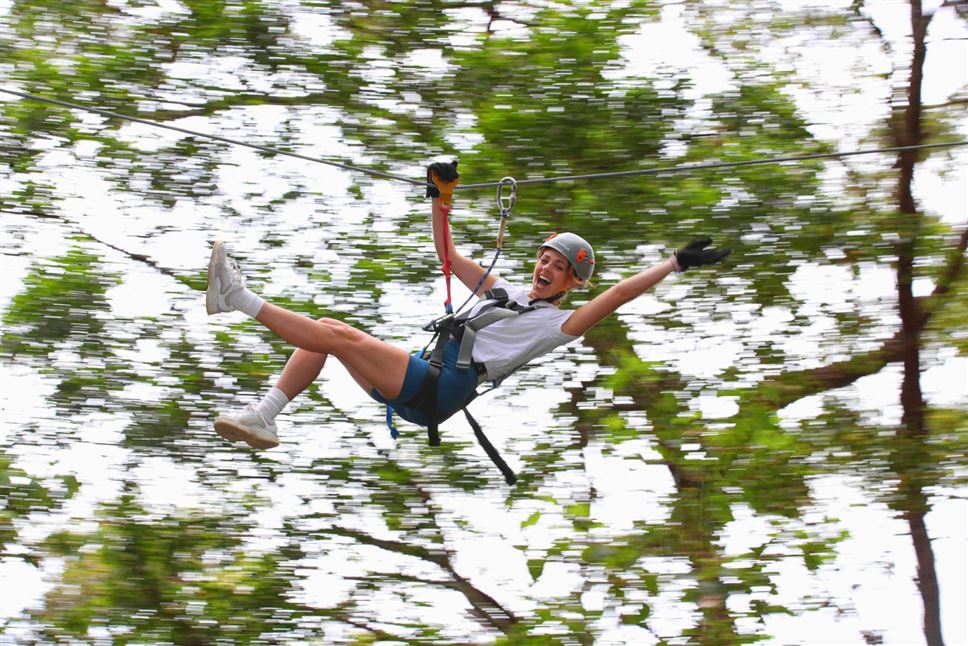 Thrilling Currumbin TreeTop Adventure