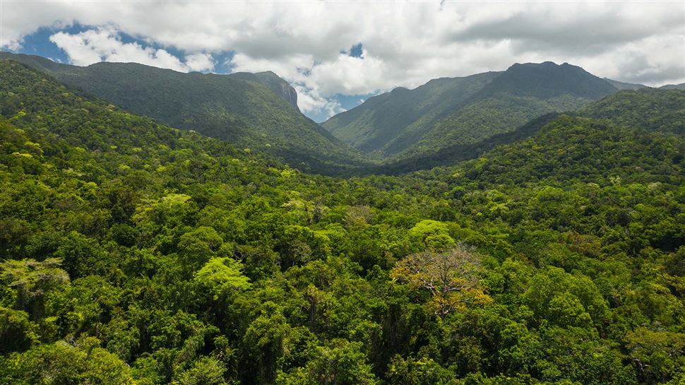 Mossman Gorge Adventure Day with River Drift