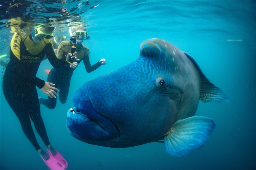Whitsundays Private Charter Day