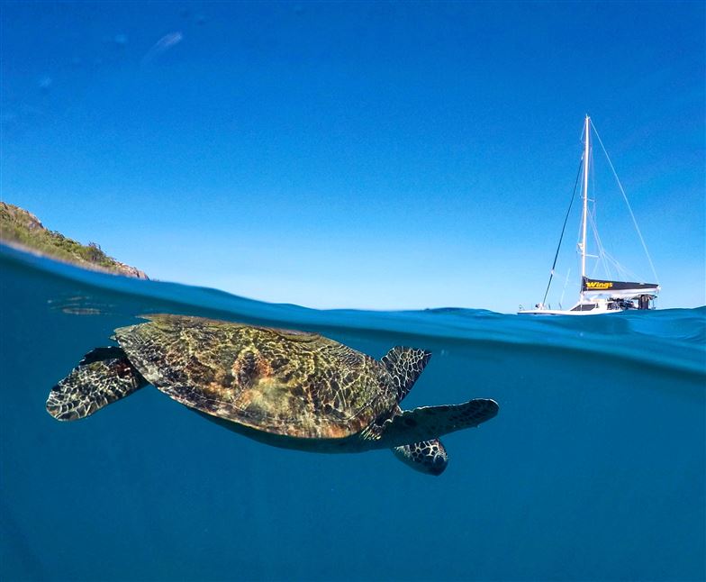 Whitsundays Private Charter Day