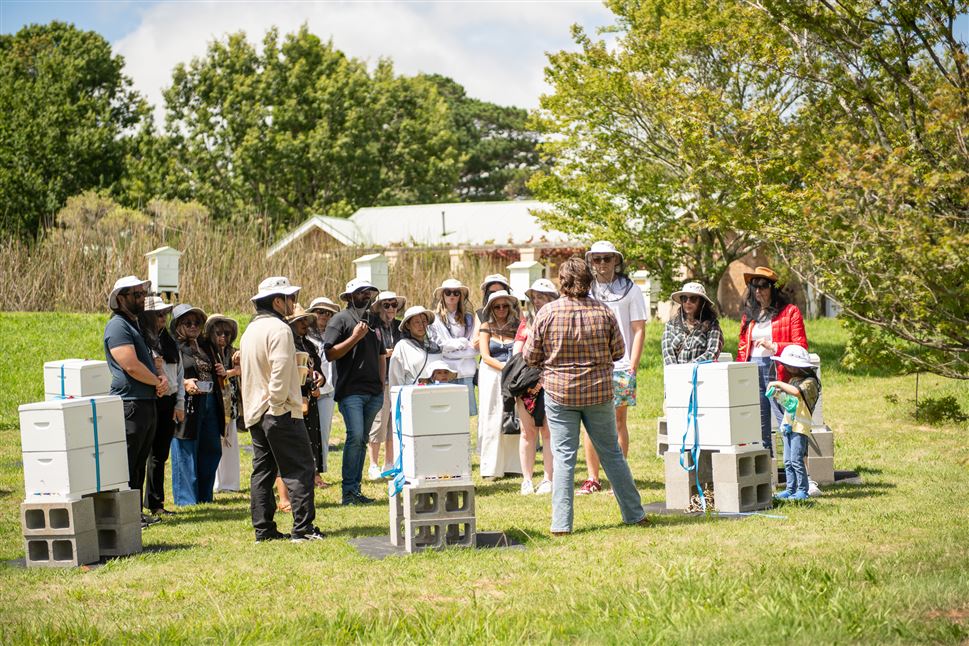 Beehive to Table Hands On Honey Harvest