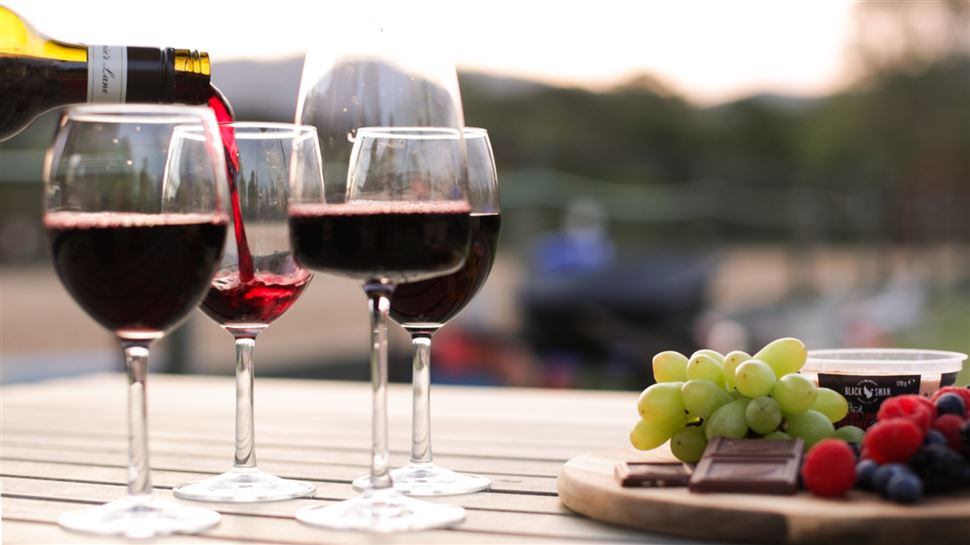 Wine Ride and Farm Social for 2