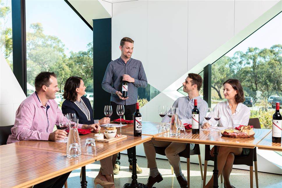Exclusive Tour, Wine and Gin Tasting for 11