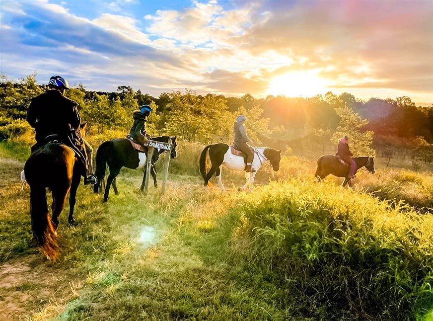 Sunset Horse Ride, 90 Minutes