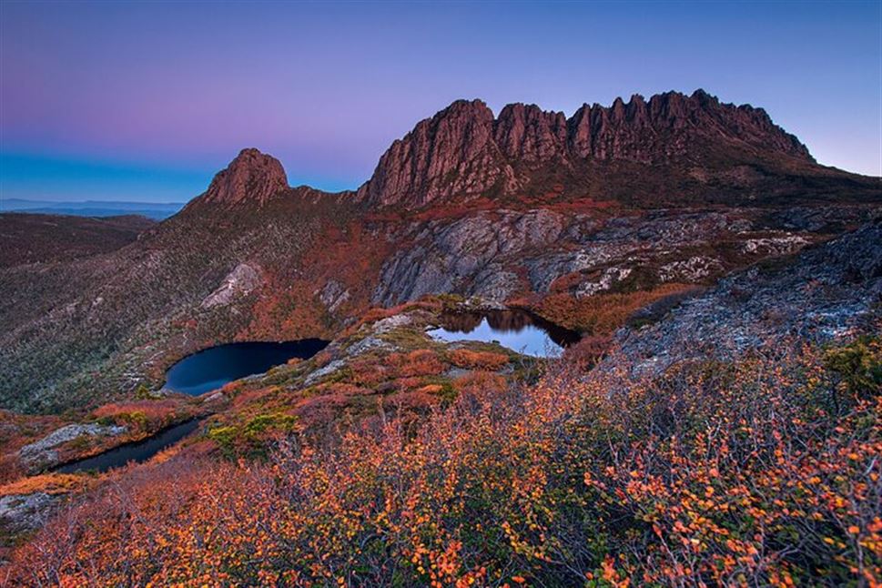 Cradle Mountain Full-Day Adventure