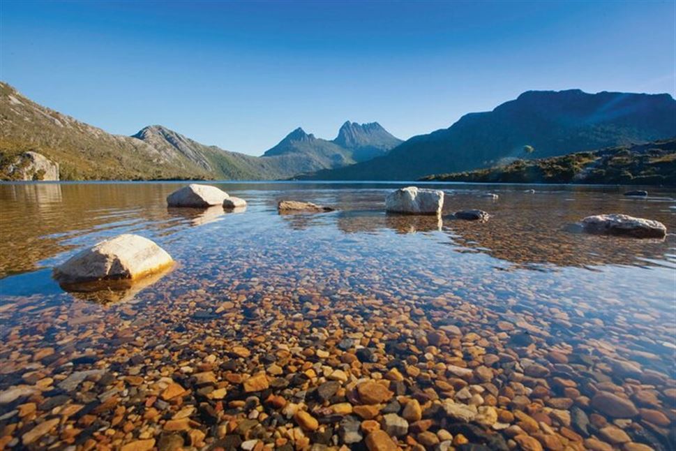 Cradle Mountain Full-Day Adventure