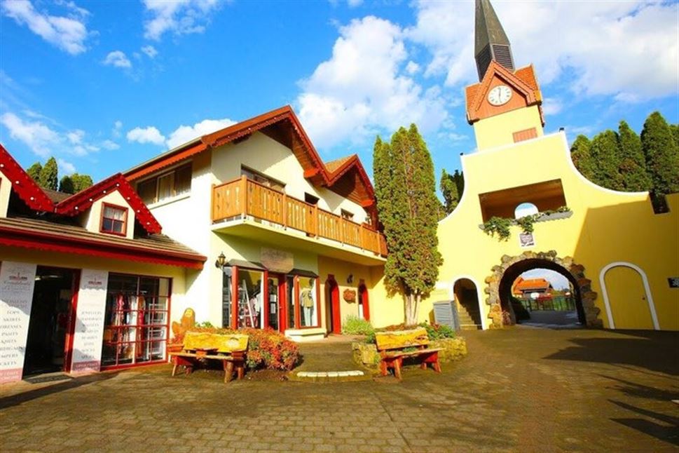 Explore Cataract Gorge and Grindelwald