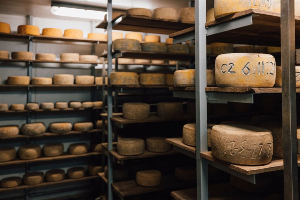 Bruny Island Day Tour And Local Tastings