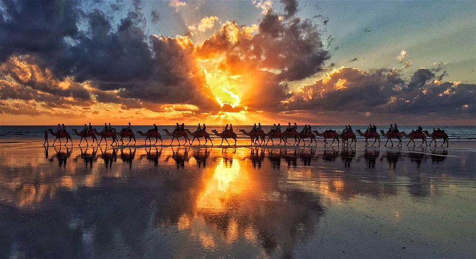 Cable Beach Sunset Camel Ride