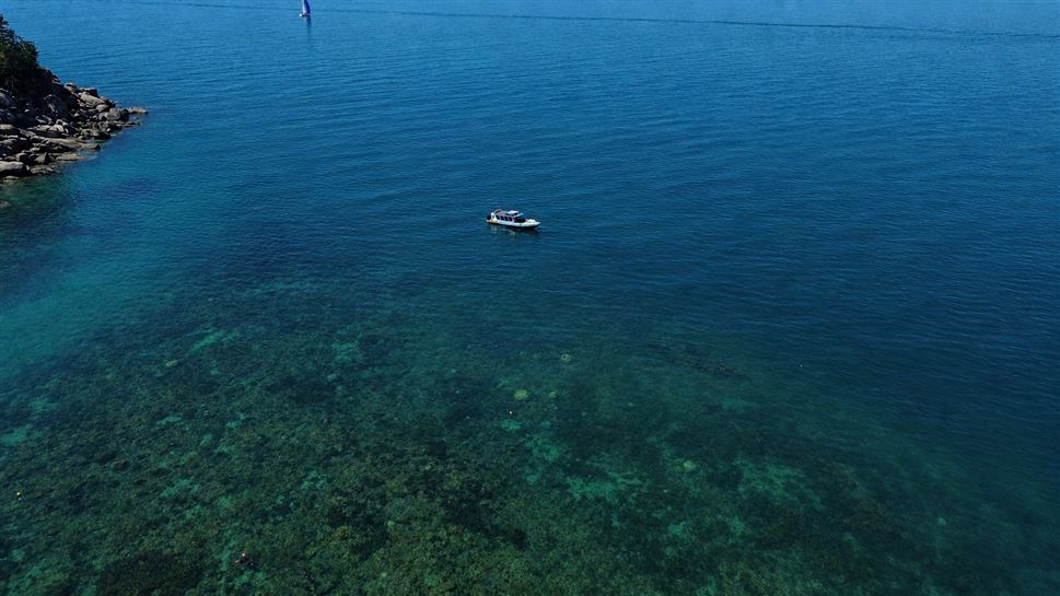 Great Barrier Reef Snorkel Tour