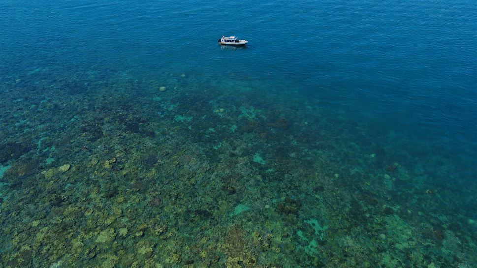 Great Barrier Reef Snorkel Tour