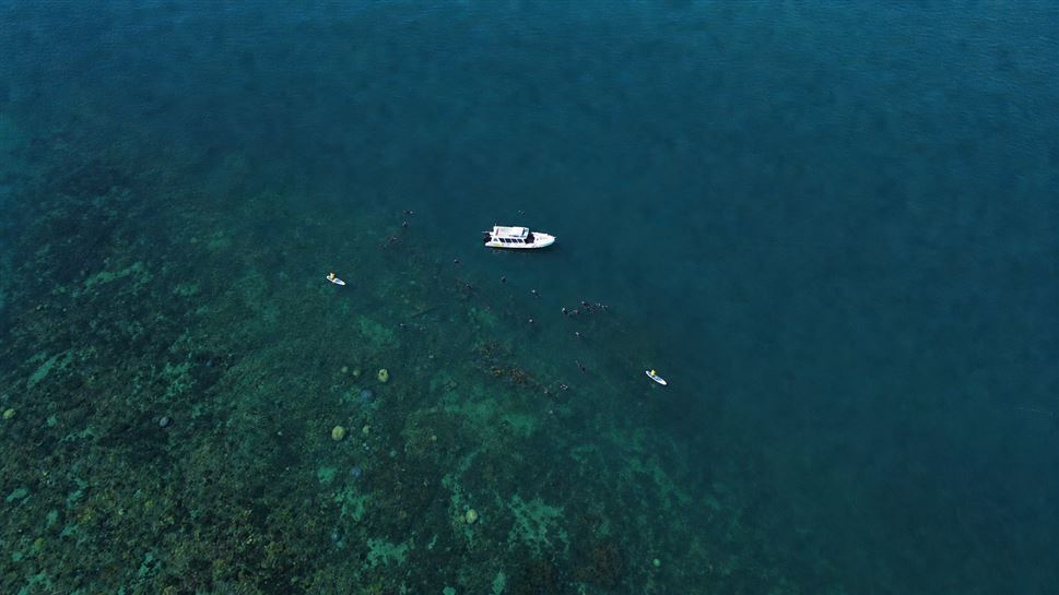 Great Barrier Reef Snorkel Tour