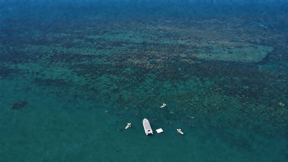 Great Barrier Reef Snorkel Tour