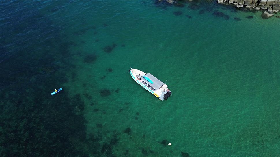 Great Barrier Reef Snorkel Tour