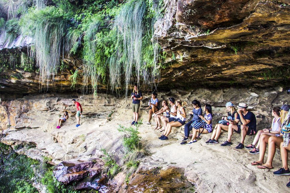 Blue Mountains Sunset Tour from Sydney