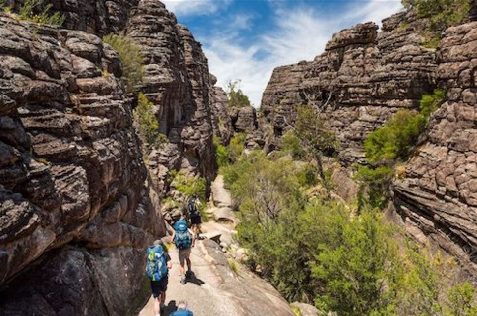 Grampians National Park Wildlife Tour