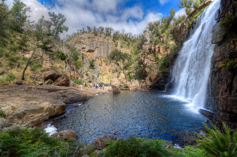 Grampians National Park Wildlife Tour