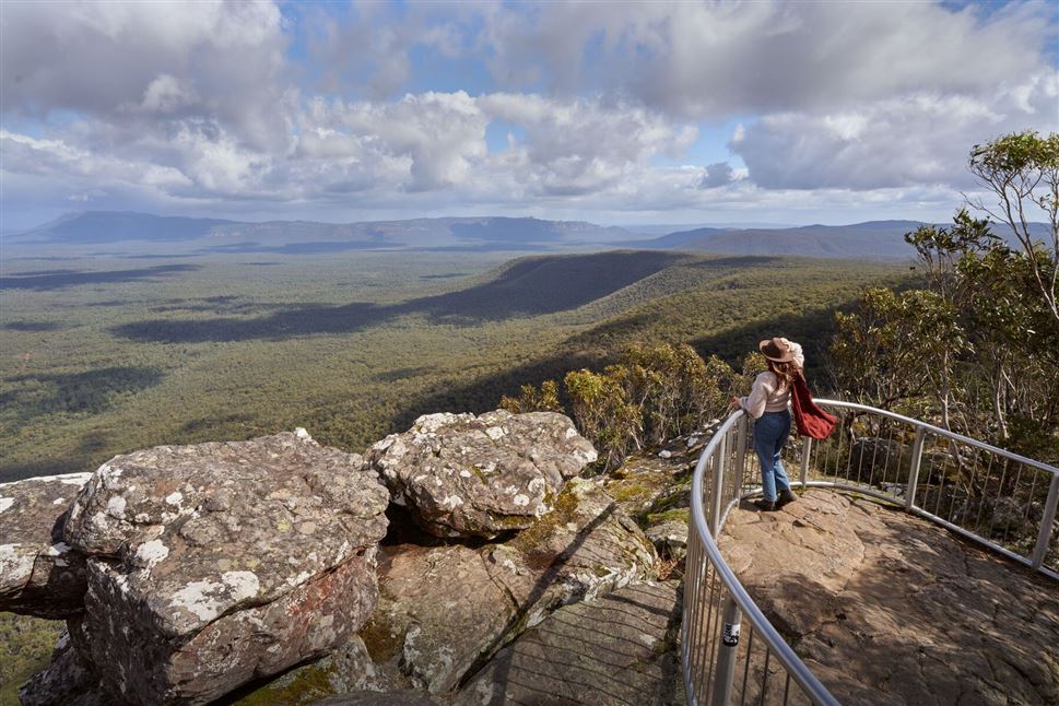 Grampians National Park Wildlife Tour
