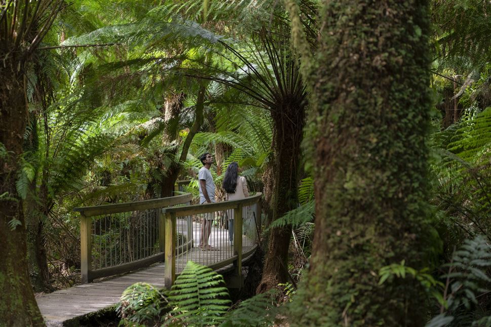 Great Ocean Road Reverse Tour with Picnic