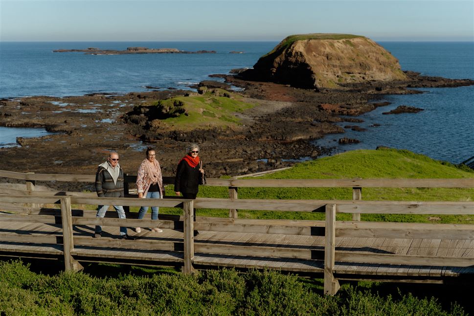 Phillip Island Penguin Parade & Koala Highlights