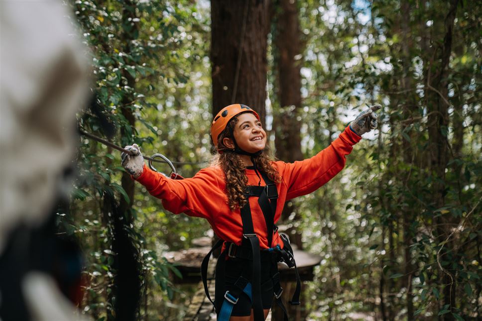 Tree Ropes Standard Session & Zipline Express