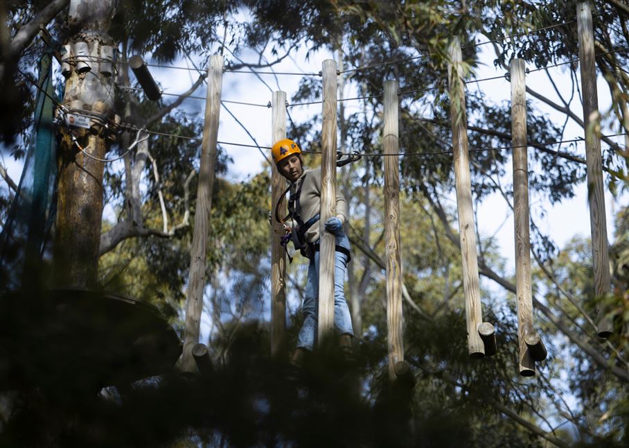 Tree Ropes Standard Session & Zipline Express