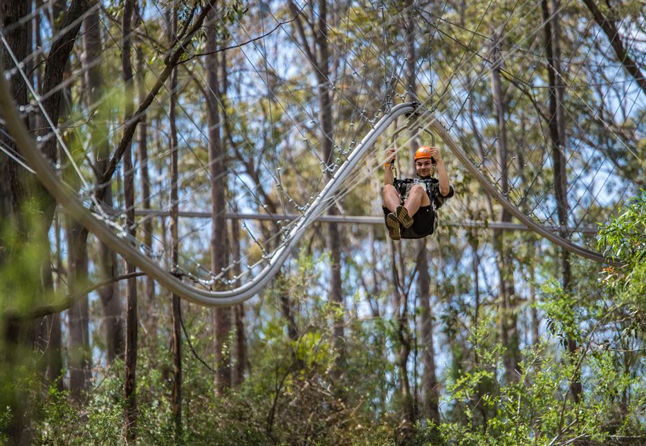 Tree Ropes Standard Session & Zipline Express