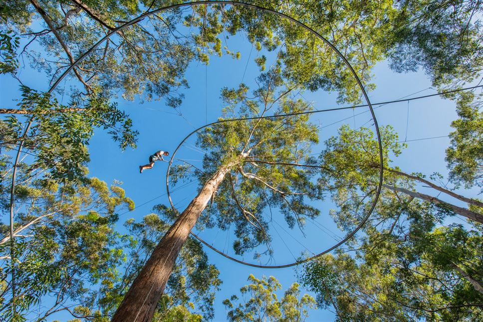 Zipcoaster Adventure Ride