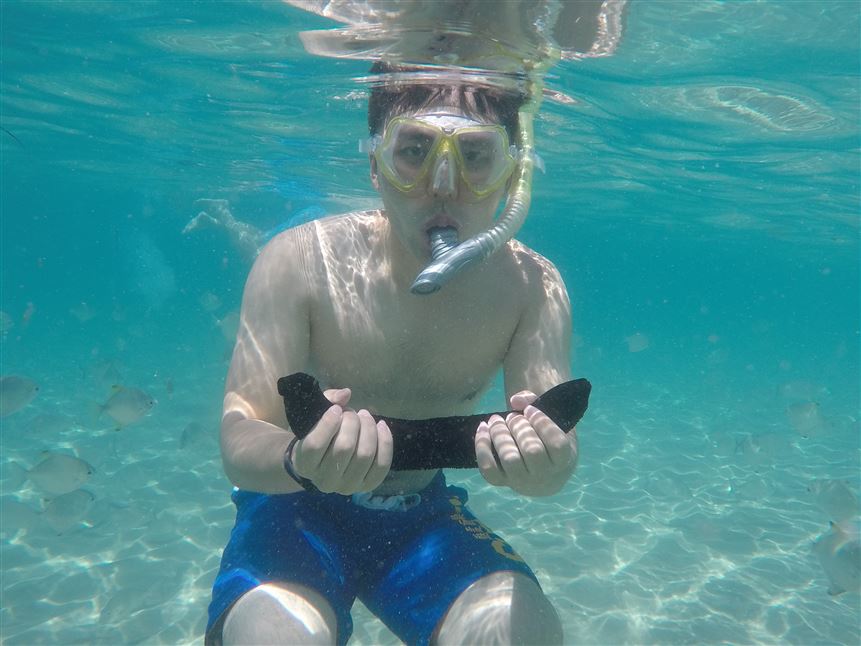 Broadwater Dolphin Kayak Tour, 2 Hours