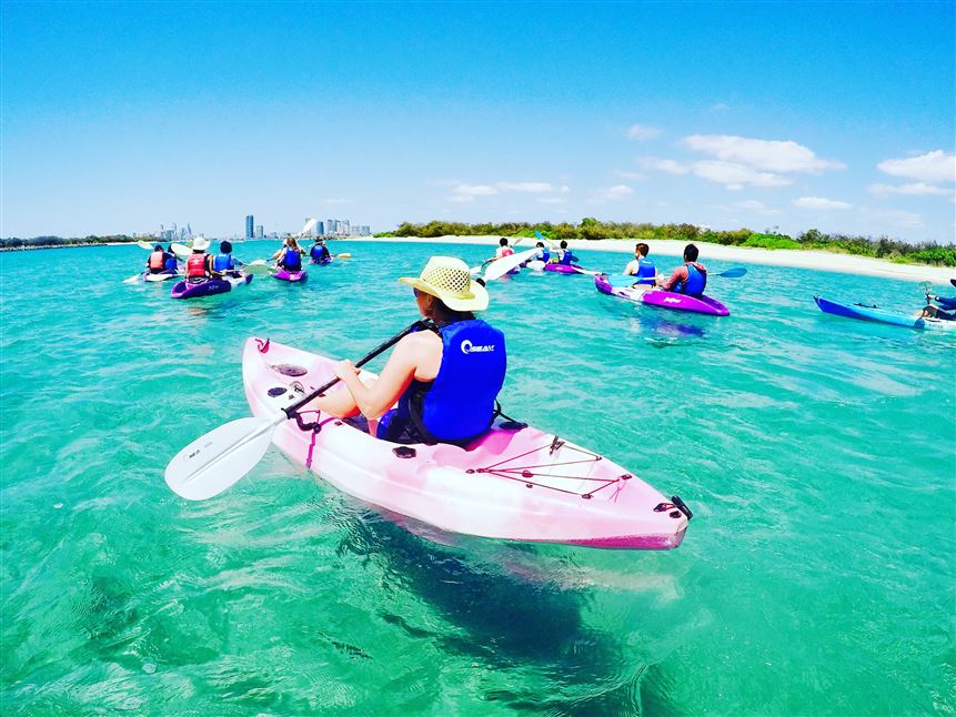Broadwater Dolphin Kayak Tour, 2 Hours